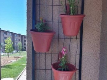 Imagen 16