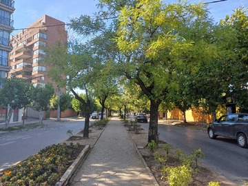 Imagen 16