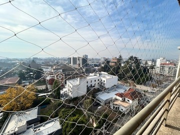 Imagen 6