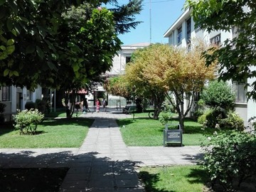 Imagen 19