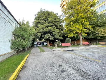 Imagen 25