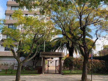 Imagen 5
