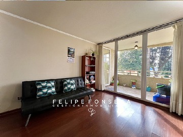 Imagen 5
