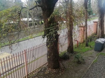 Imagen 9