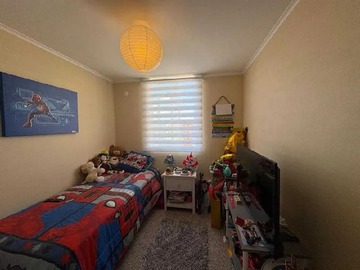 Imagen 12