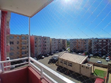 Imagen 6