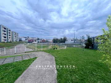 Imagen 18