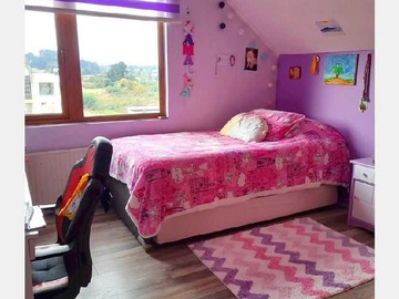 Imagen 6