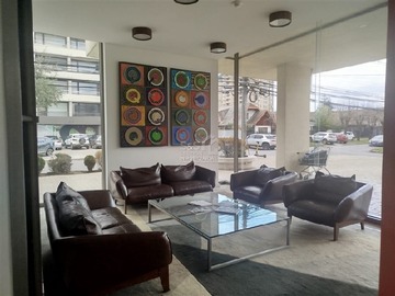 Imagen 5
