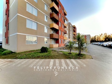 Imagen 11