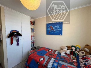 Imagen 11