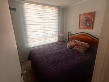 Imagen 7