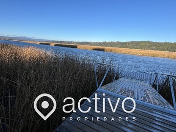 Imagen 15