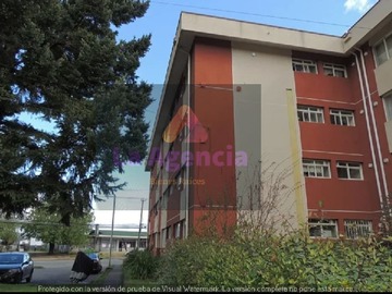 Imagen 5