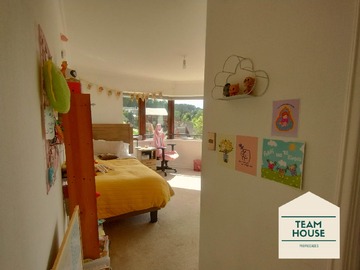 Imagen 12