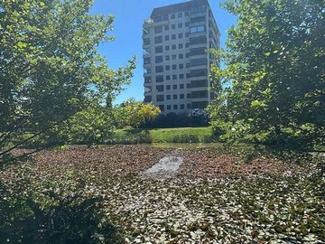 Venta / Departamento / Valdivia
