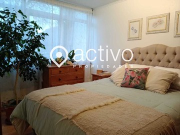 Imagen 11