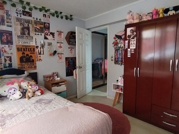 Imagen 13