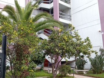 Venta / Departamento / Valparaíso