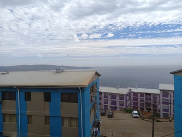 Imagen 5
