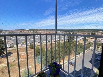 Imagen 7