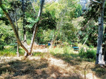Imagen 15