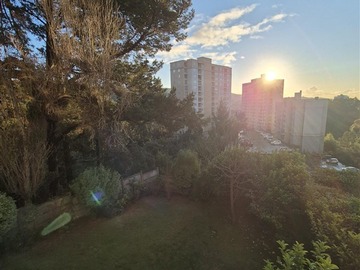 Imagen 20