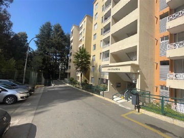 Imagen 10