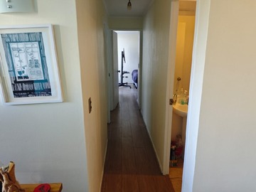 Imagen 7