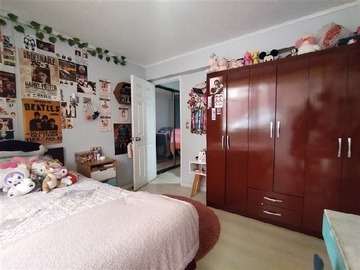 Imagen 14