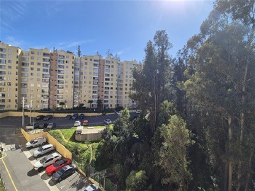 Imagen 7