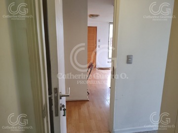 Imagen 15