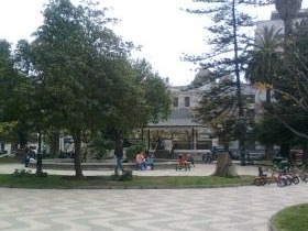 Imagen 6