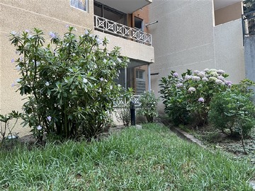 Imagen 22