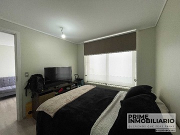 Imagen 11