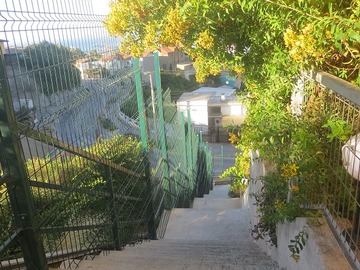 Imagen 10