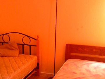Imagen 5