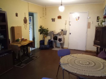 Venta / Departamento / Valparaíso
