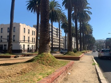 Venta / Departamento / Valparaíso