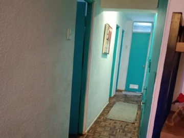 Imagen 13