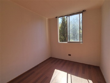 Imagen 11