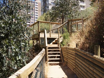 Imagen 20