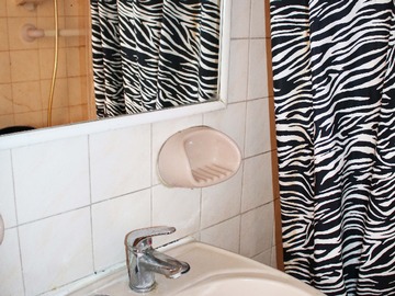 Imagen 9