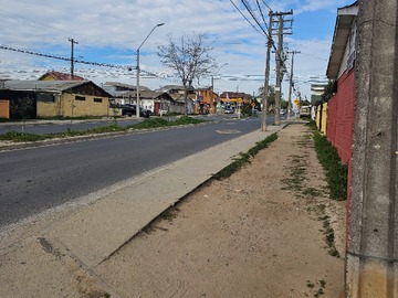 Imagen 11
