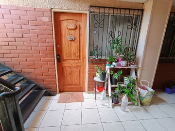 Imagen 8