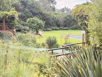 Venta / Departamento / Viña del Mar