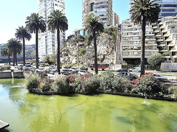 Imagen 16