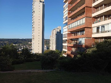 Imagen 17