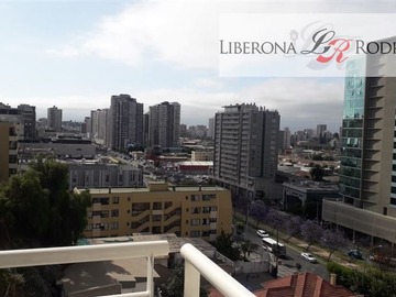 Imagen 11