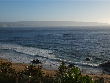 Venta / Departamento / Viña del Mar